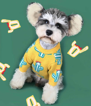 The Perfect Pet Cactus Sweater for Your Furry Friend