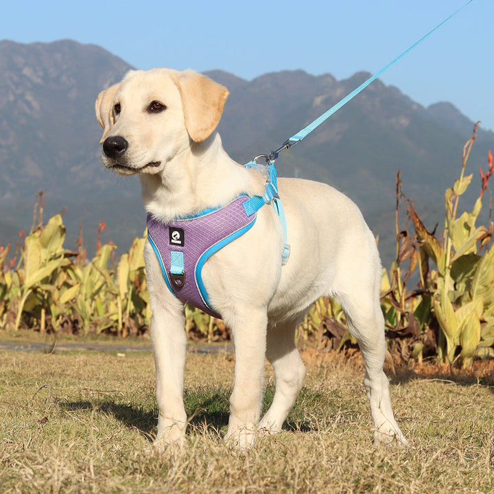 Why the Breathable Pet Harness Adjustable Leash is Essential for Your Pet's Comfort