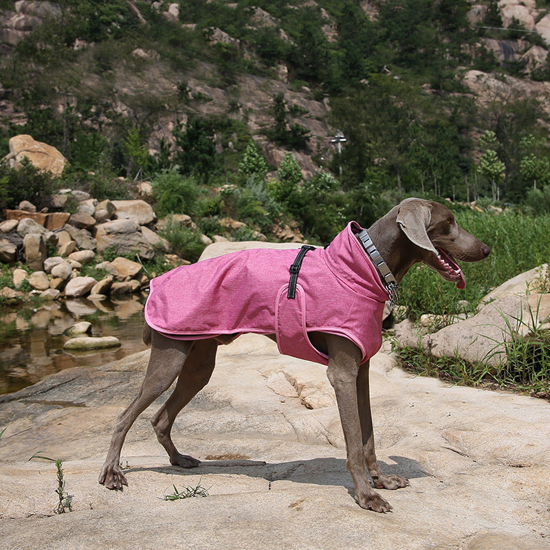 The Ultimate Pet Shell Jacket for Winter Adventures