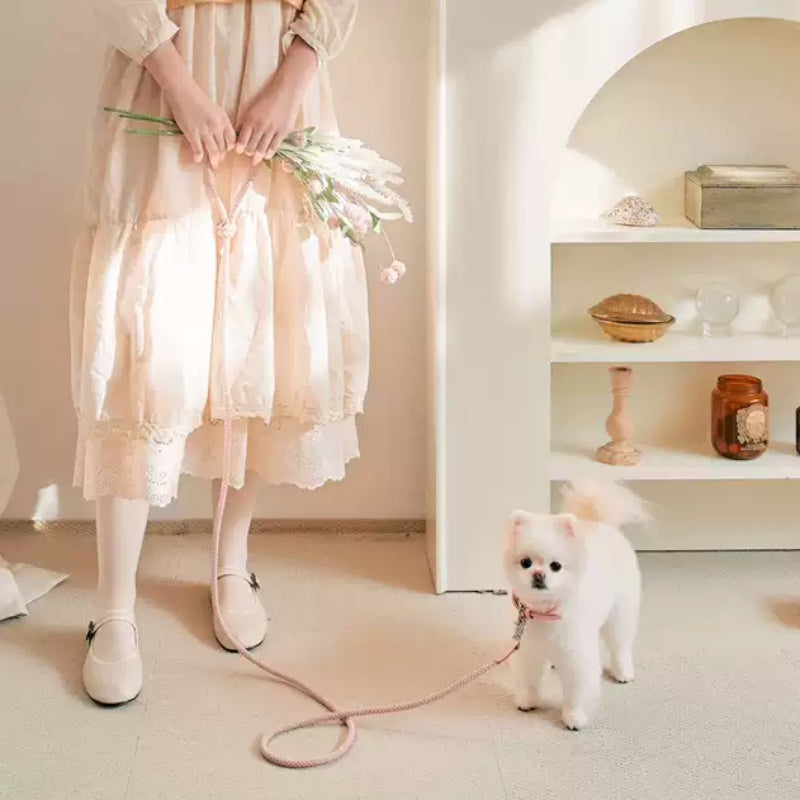 Upgrade Your Pet's Style with Our Premium Leather Collar and Leash Set