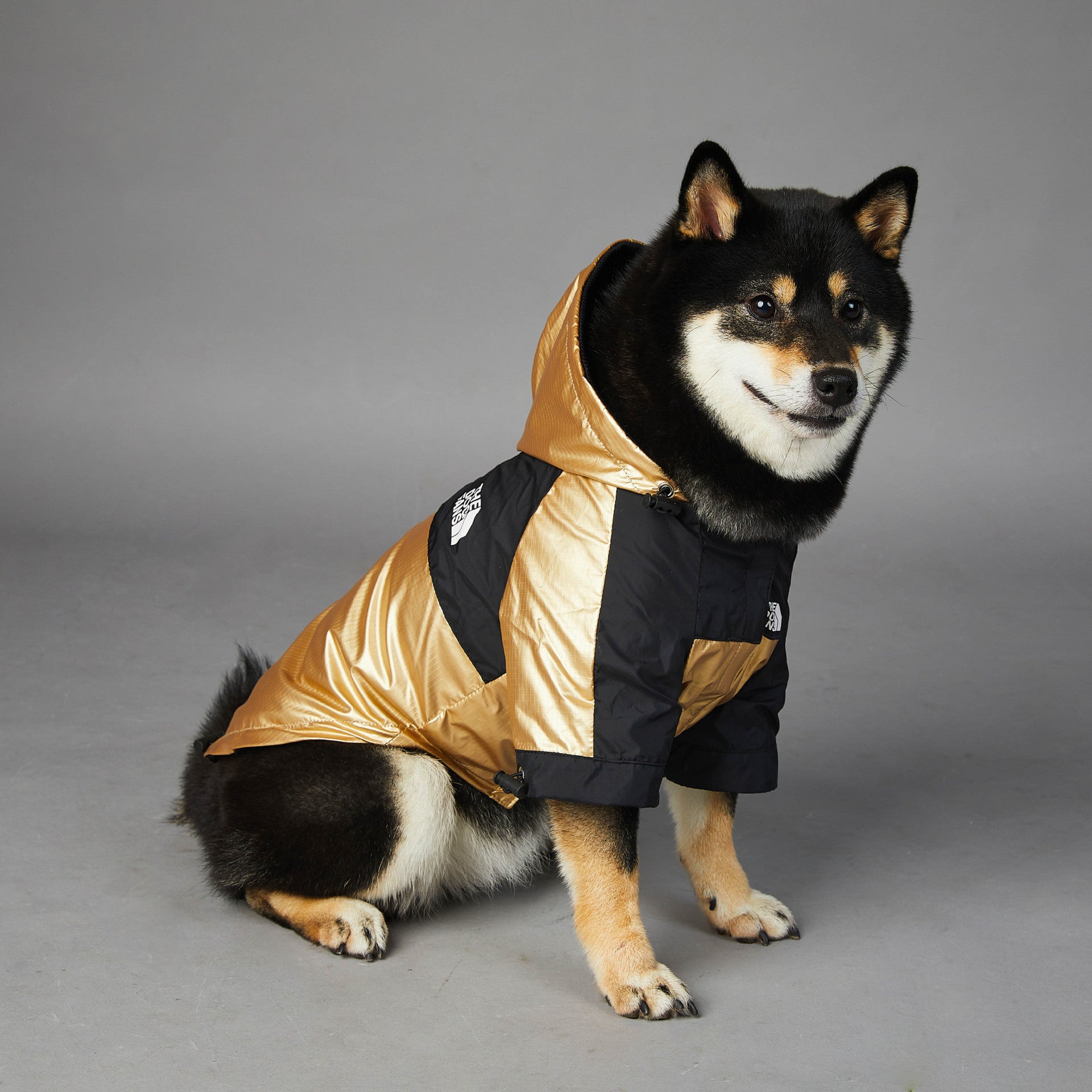 7df988da98fd92c920088327e49b77e7